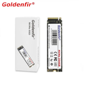 GOLDENFIR 256GB M.2 NVMe SSD